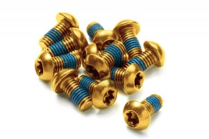 Reverse M5 x 10 mm brake rotor bolt