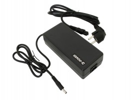 Noname Tianhong Songxia DPL0084 battery charger