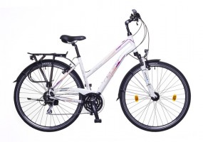 Neuzer Firenze 200 hub dynamic women touring bike