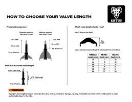 WTB Standard Tubeless (RVC) valve