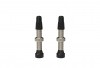 WTB Standard Tubeless (RVC) szingó szelep