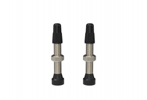 WTB Standard Tubeless (RVC) valve