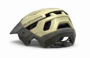 Bluegrass Rogue bike helmet