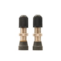Stan's NoTubes Tubeless Schrader valve