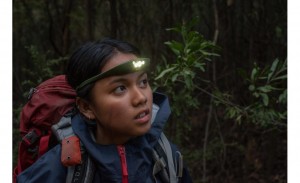 Knog Bandicoot 100 headlamp