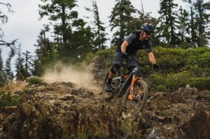 WTB HTZ i30 27,5 inch rear wheel (Shimano HG)